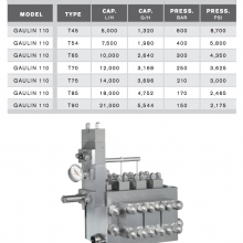 APV High-Pressure Homogenizer Rannie - Gaulin 110T:125T 3