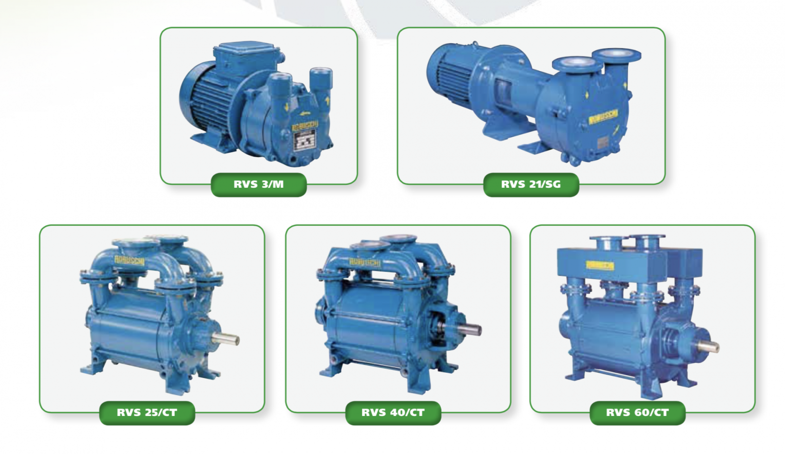 Robuschi Liquid Ring Vacuum Pump RVS Series PT. Thema Artha Perkasa