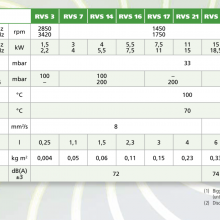 Robuschi Vacuum Pump 4